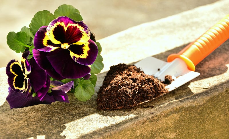Gardening Image